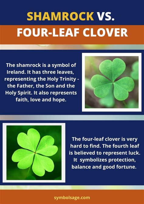 how does clover spread